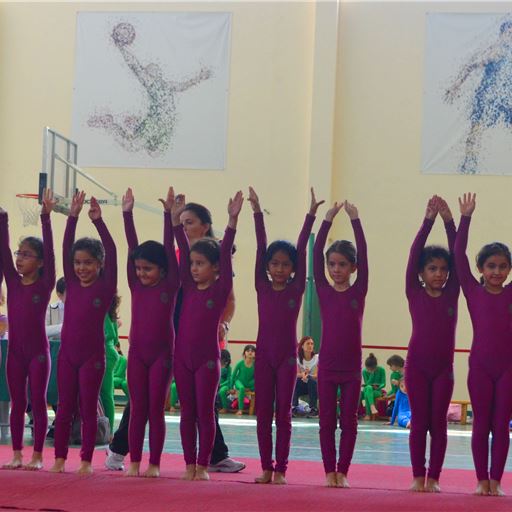 Girls Gymnastics Competition 